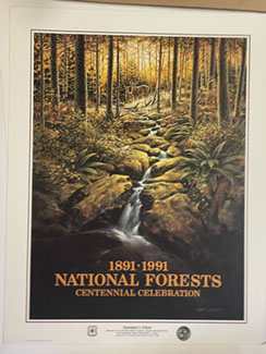 87 Autumn's Glow - Boon & Crockett National Forest